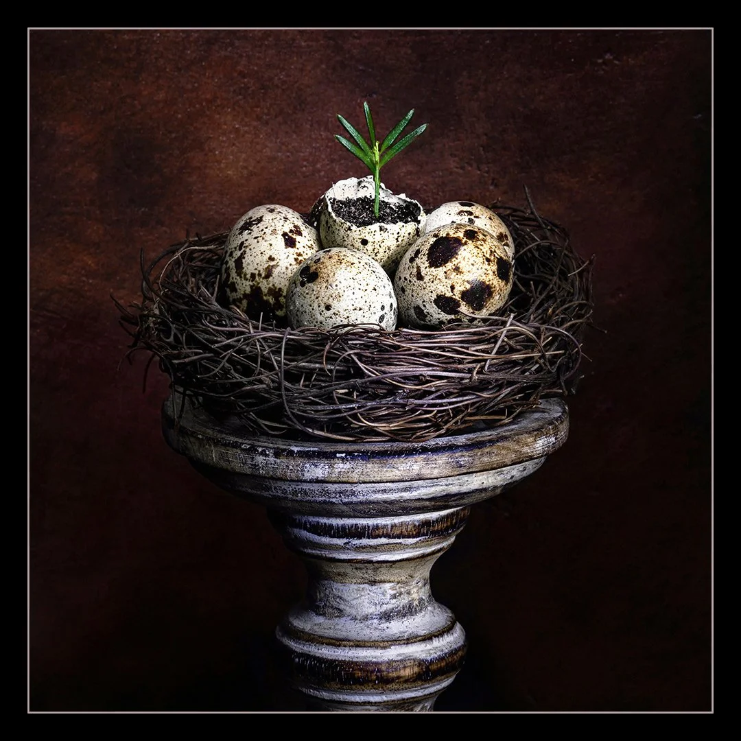 New Life - Paul Colella