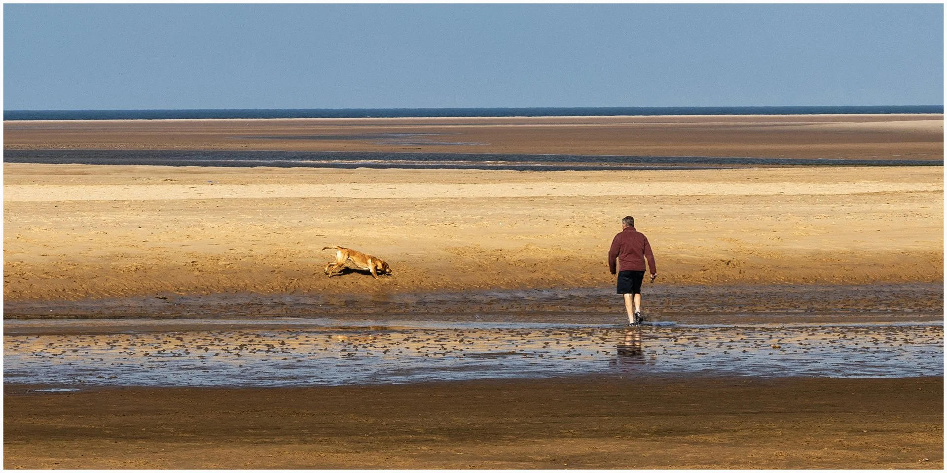 One man and his dog - Teresa Chaundy Brain