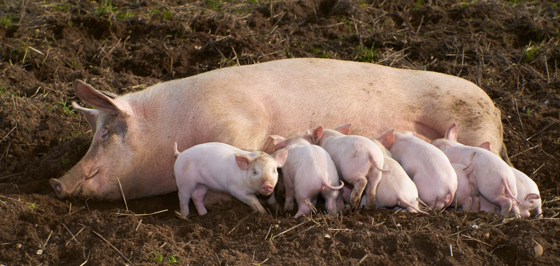 What about me - WINNER - Sue Evans ARPS CPAGB