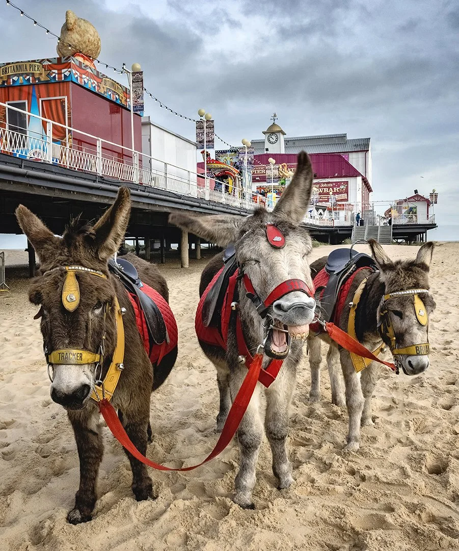 Winner There's Always One Paul Colella