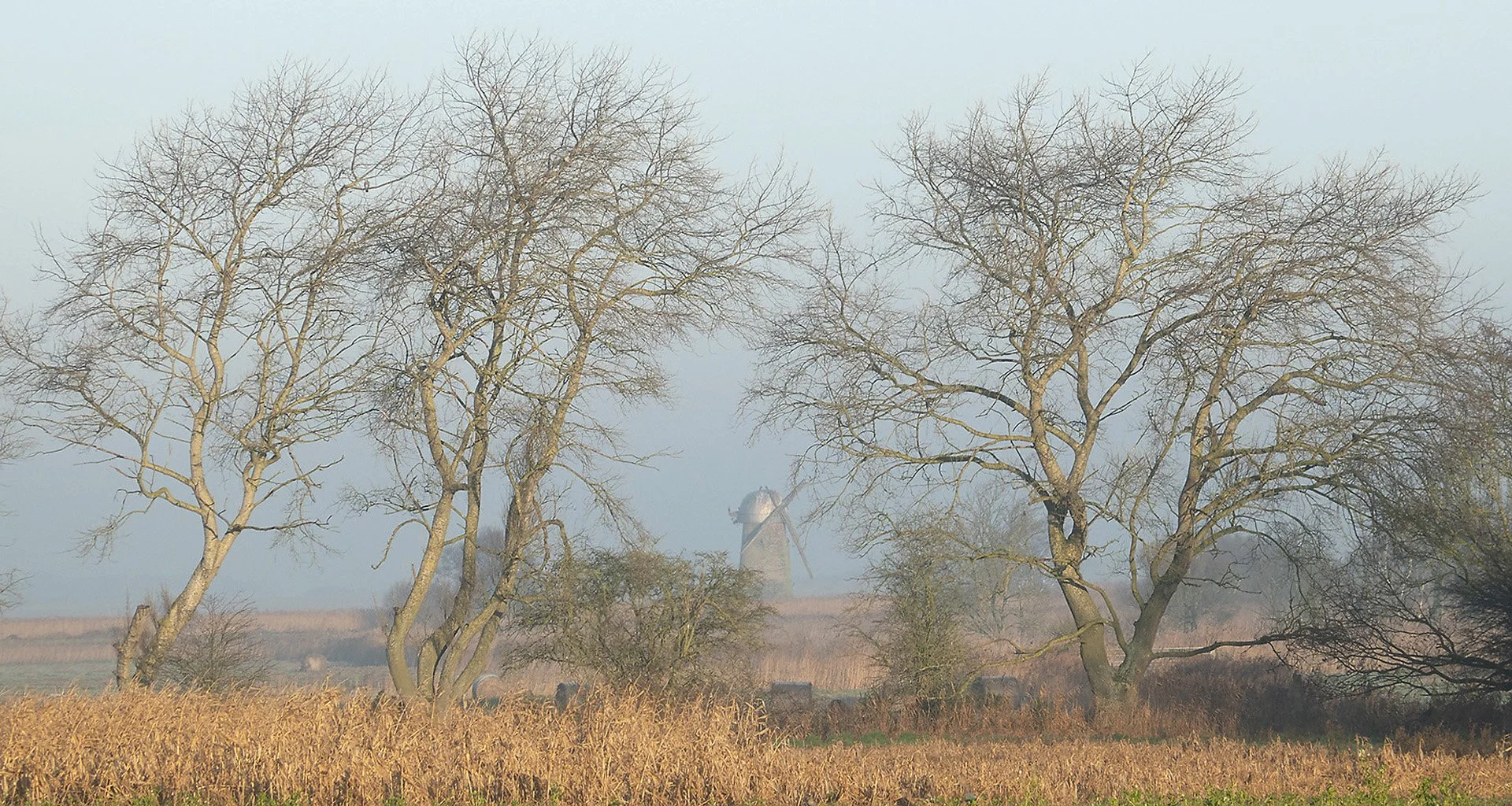 Clearing Morning Mist - Richard Courridge