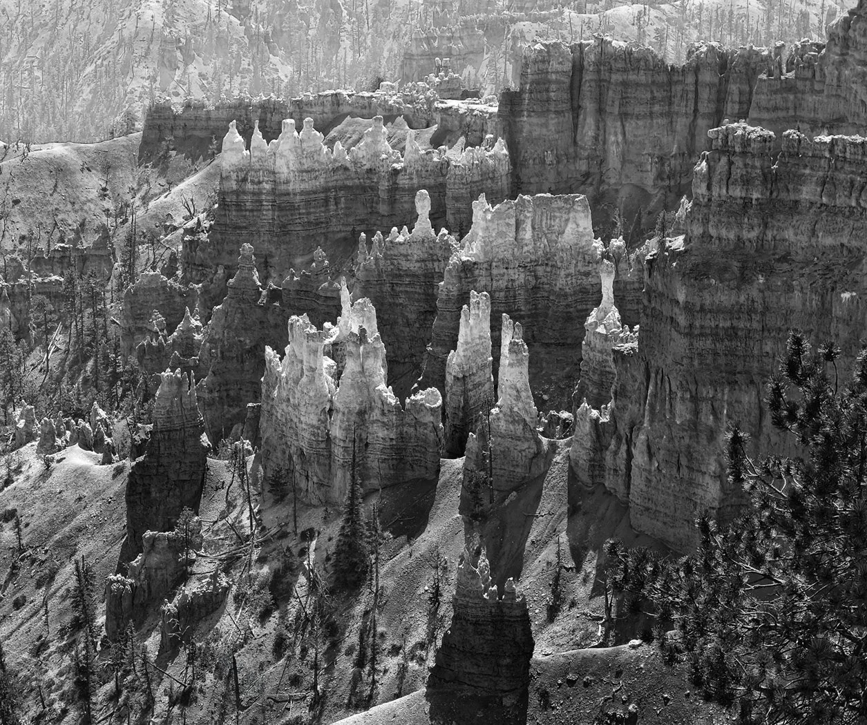 Bryce Canyon, Utah (Print).jpg
