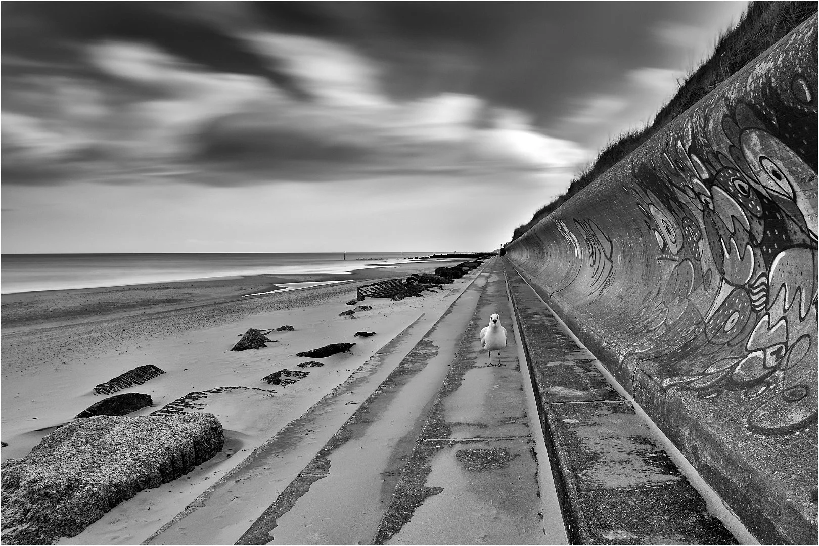 A Gulls Eye View - RUNNER UP - David Cowling