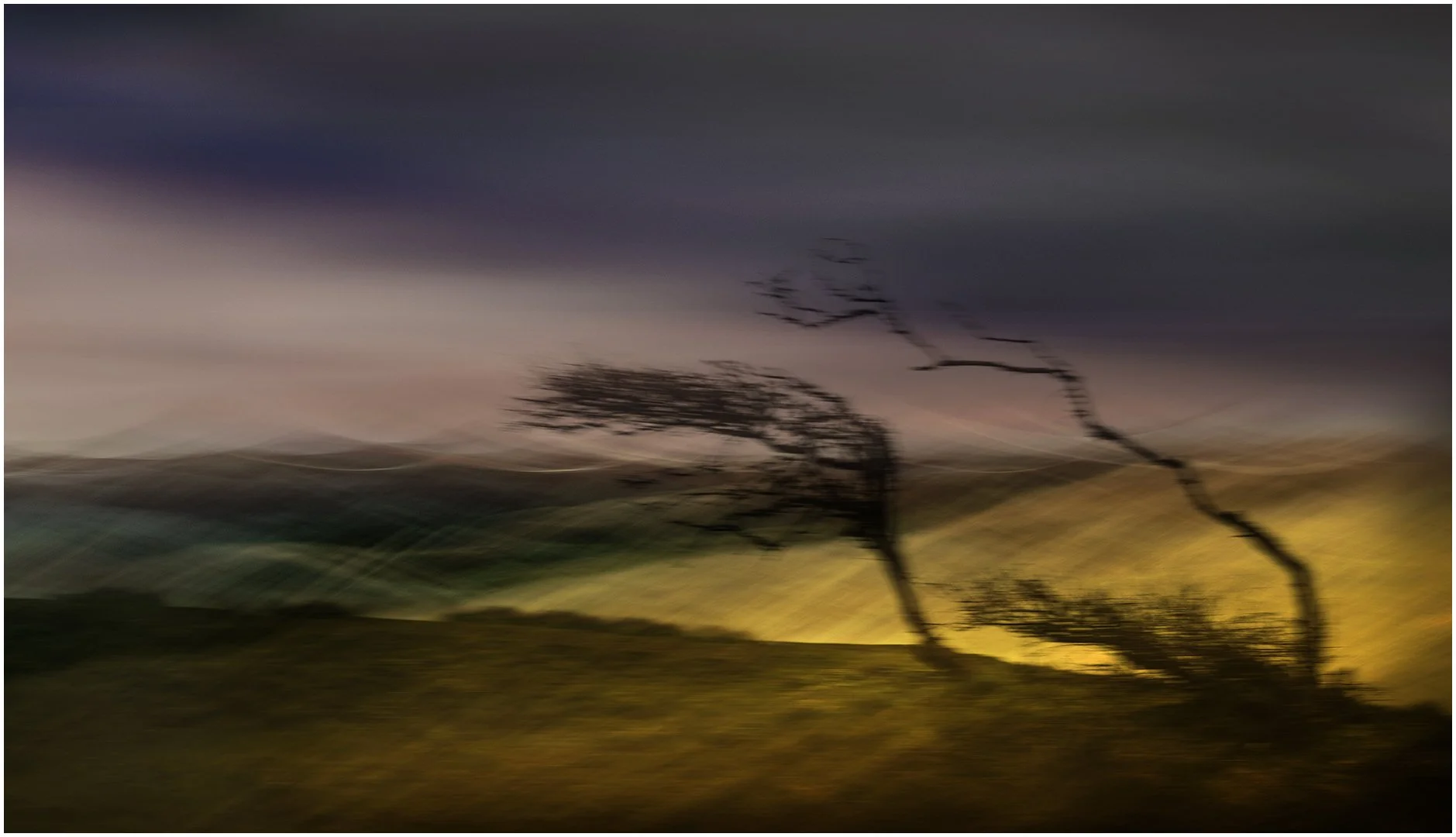 Gale Force Steve Knight