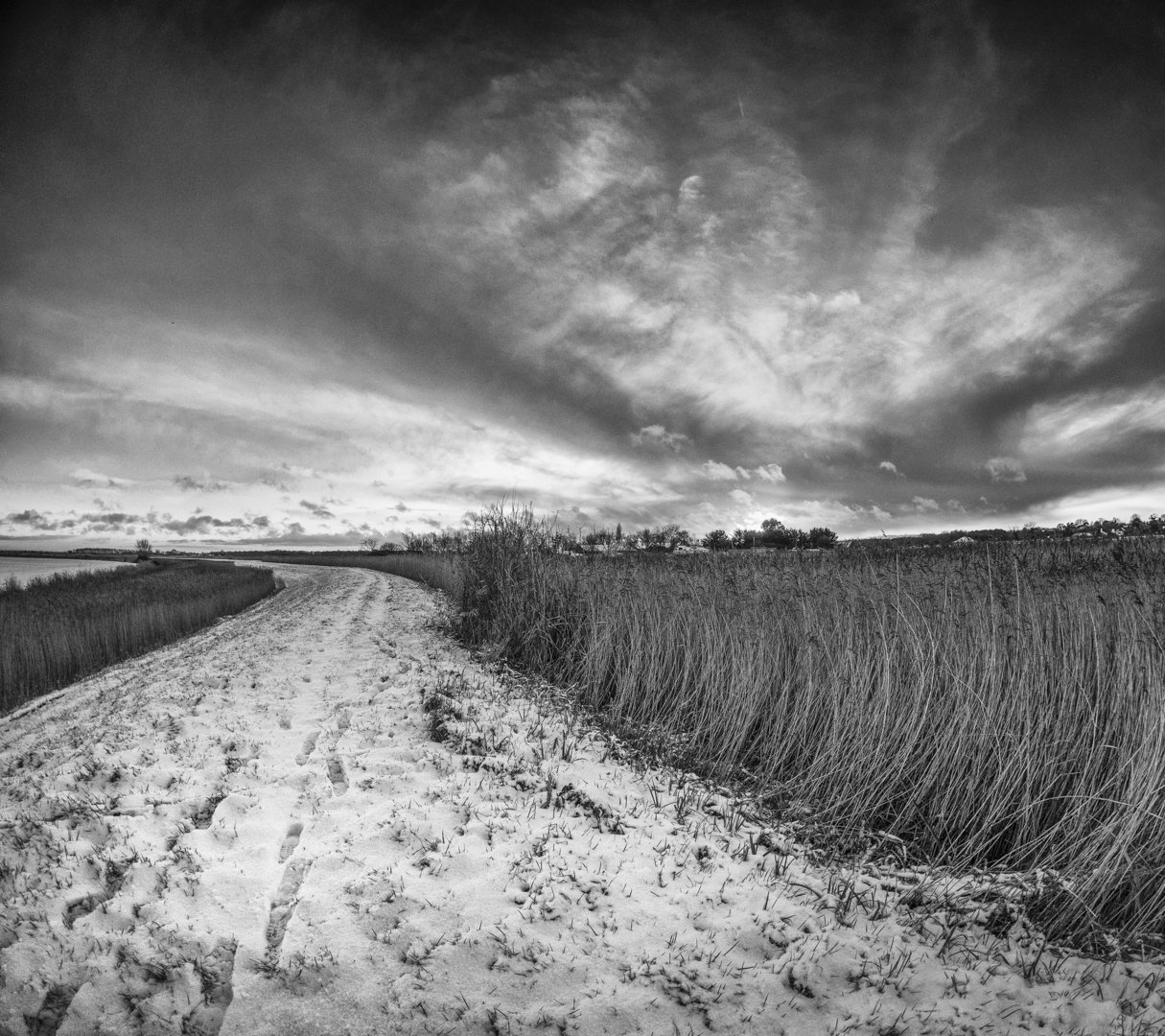 Snow on the Marsh (LDO).jpg