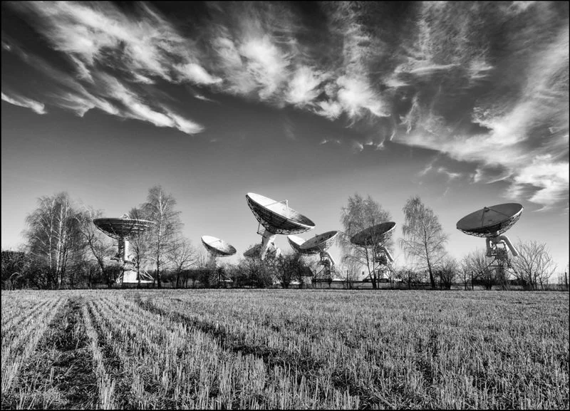 Reach to the sky - 2nd RUNNER UP - Sue Evans