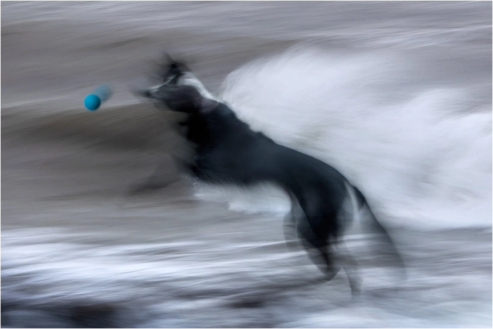 Playing in the surf - Steve Knight