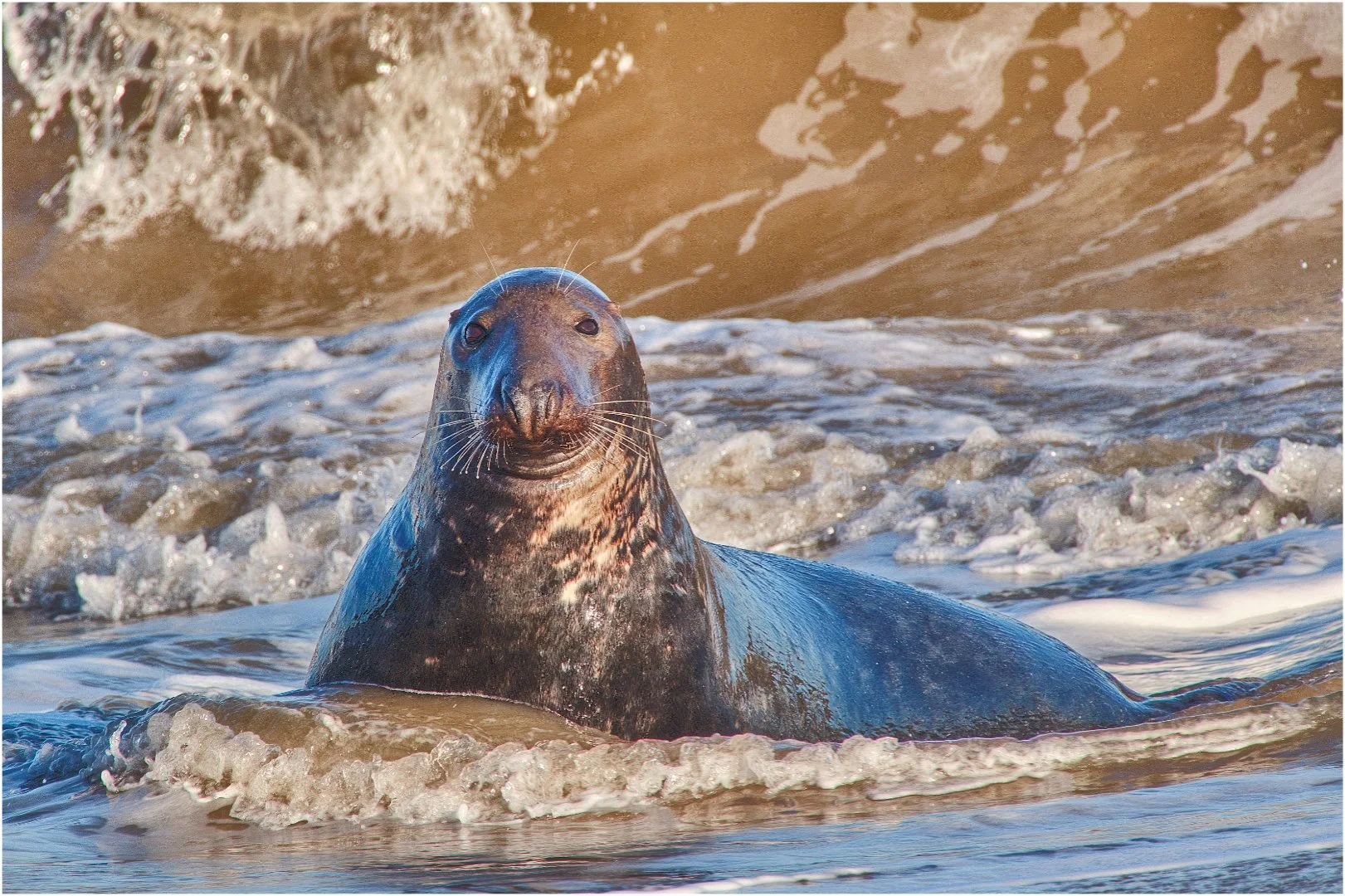 I see you! - David Cowling