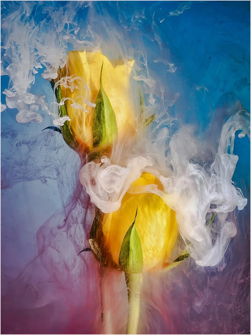 Submerged Roses Paul Colella