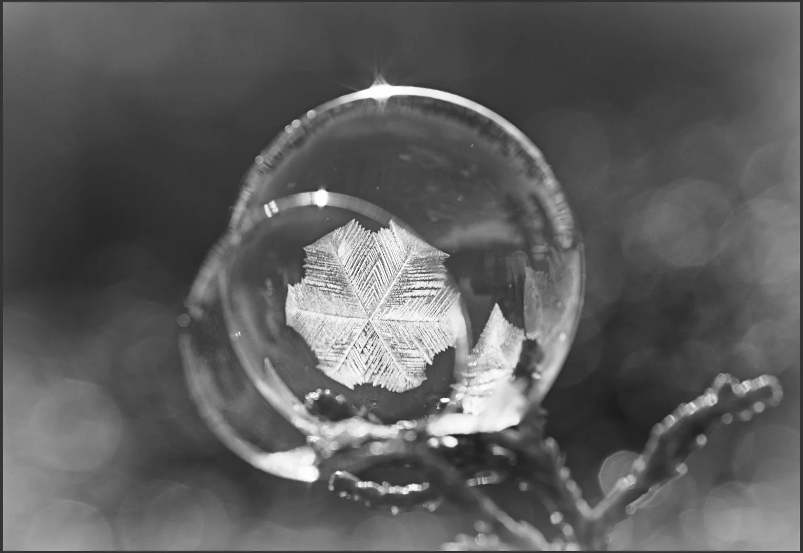 Snowflake Bubble.jpg