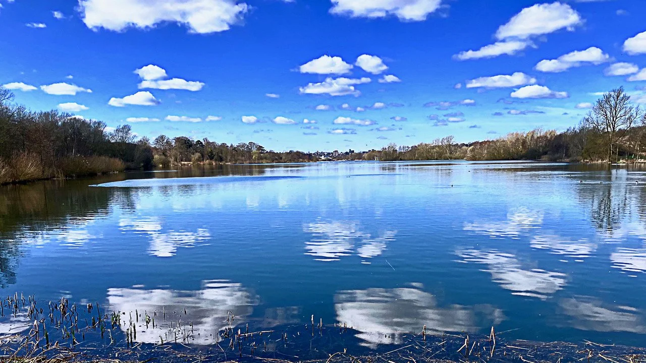 Whittlingham Park Peter Nicholls