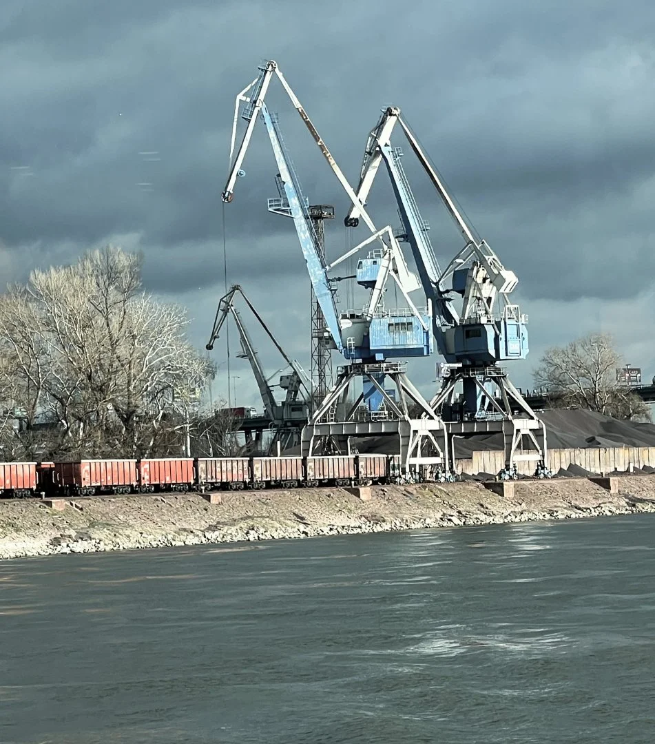 Cranes On The Danube. Debbie Flowerdew. 