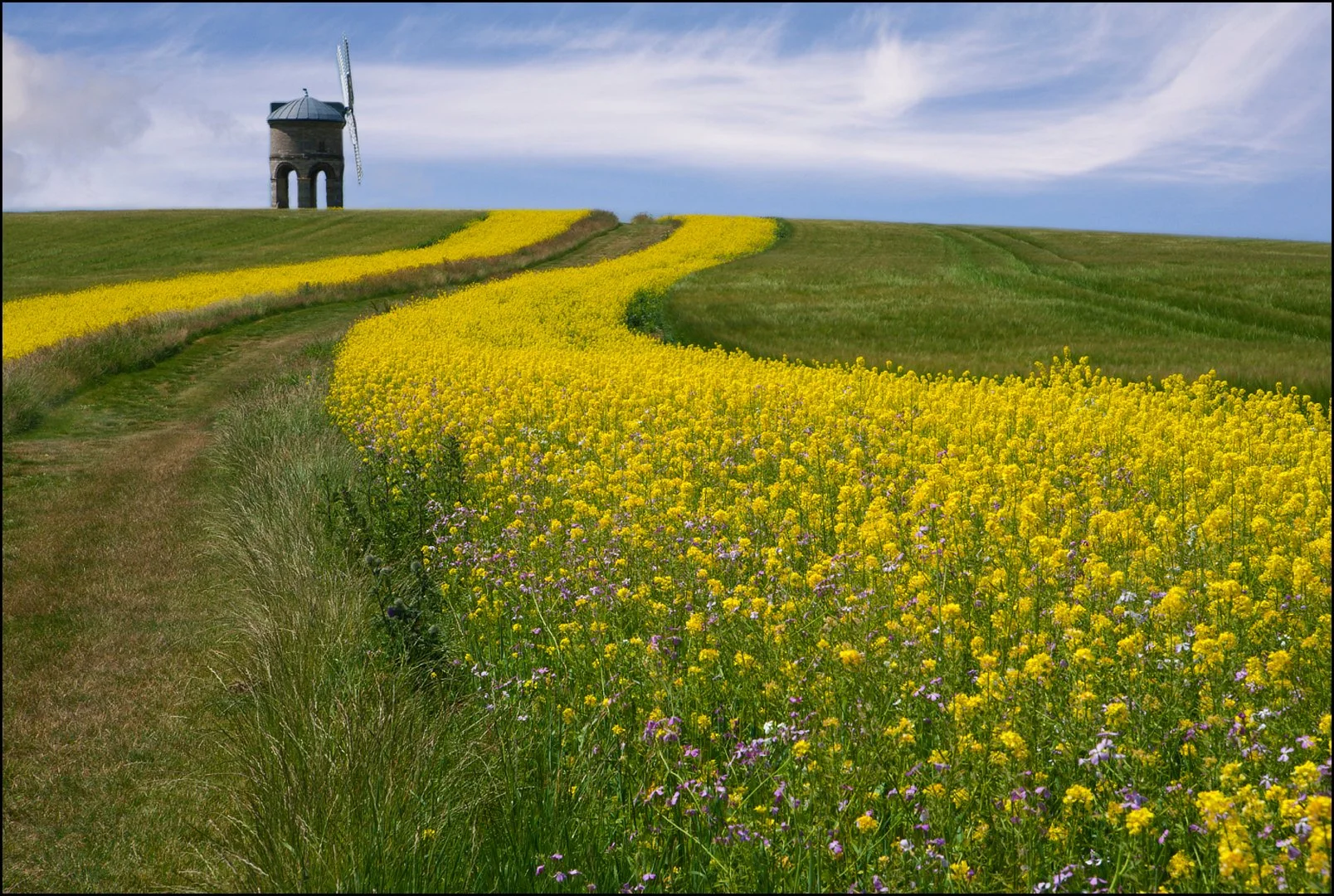 Chesterton Windmill - RUNNER UP - Sue Evans ARPS