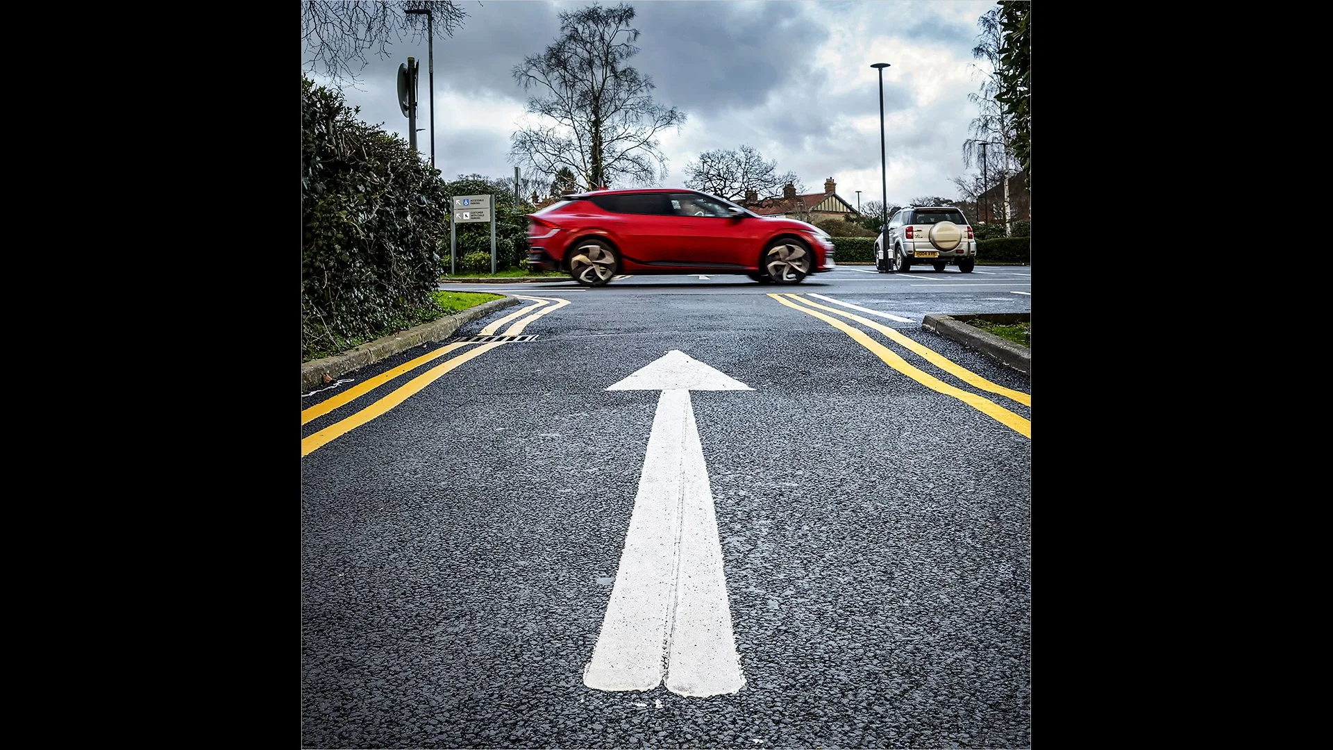 A Splash of Colour on a Dreary Day - Paul Colella