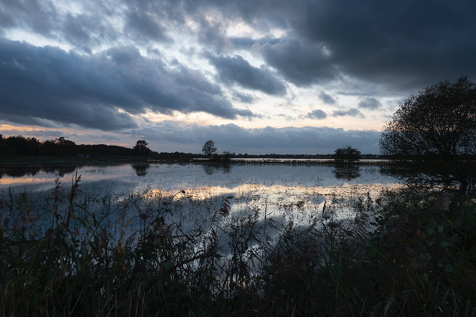Winter Flooding - Richard Courridge