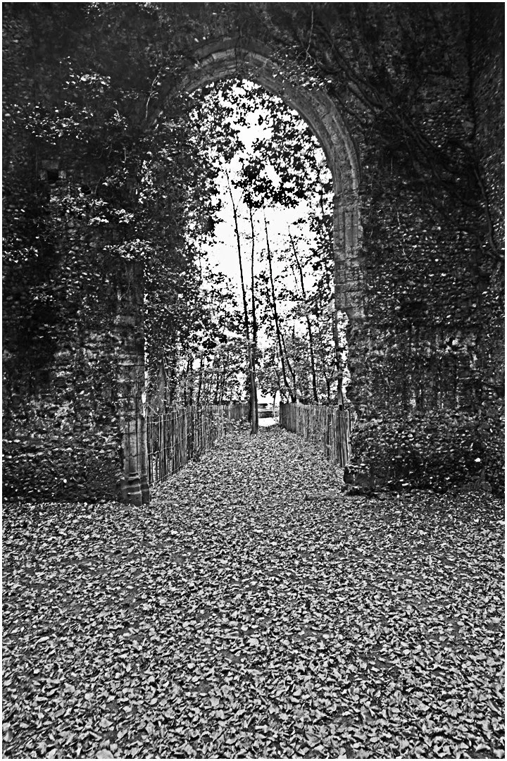 Reclaimed By Nature - Peter Nicholls