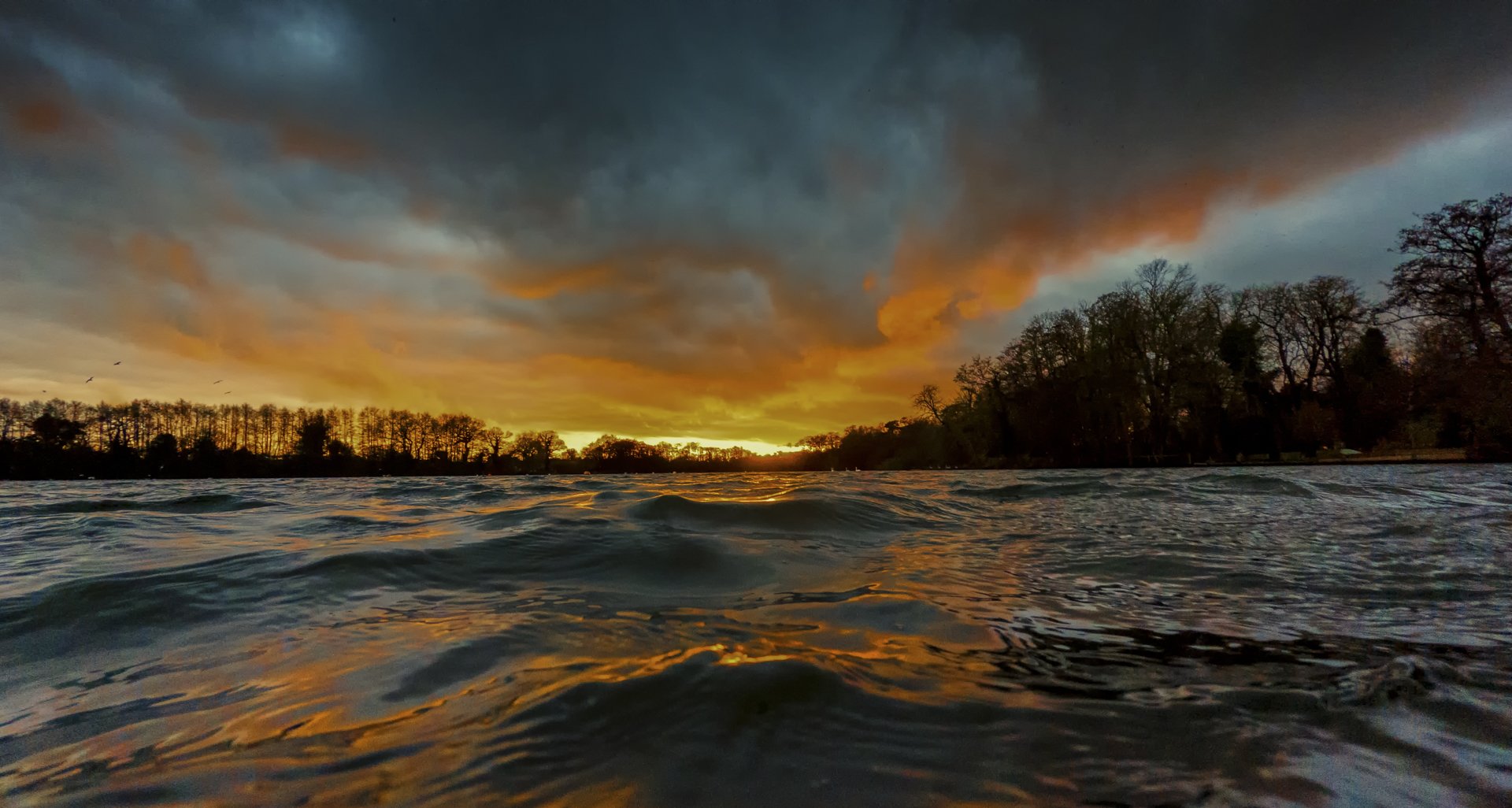 Whilst Wild Swimming Louise Dolan