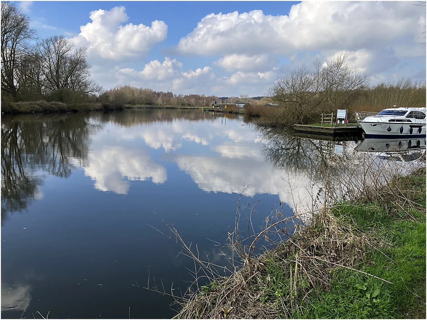 Throp Marsh - Peter Nicholls