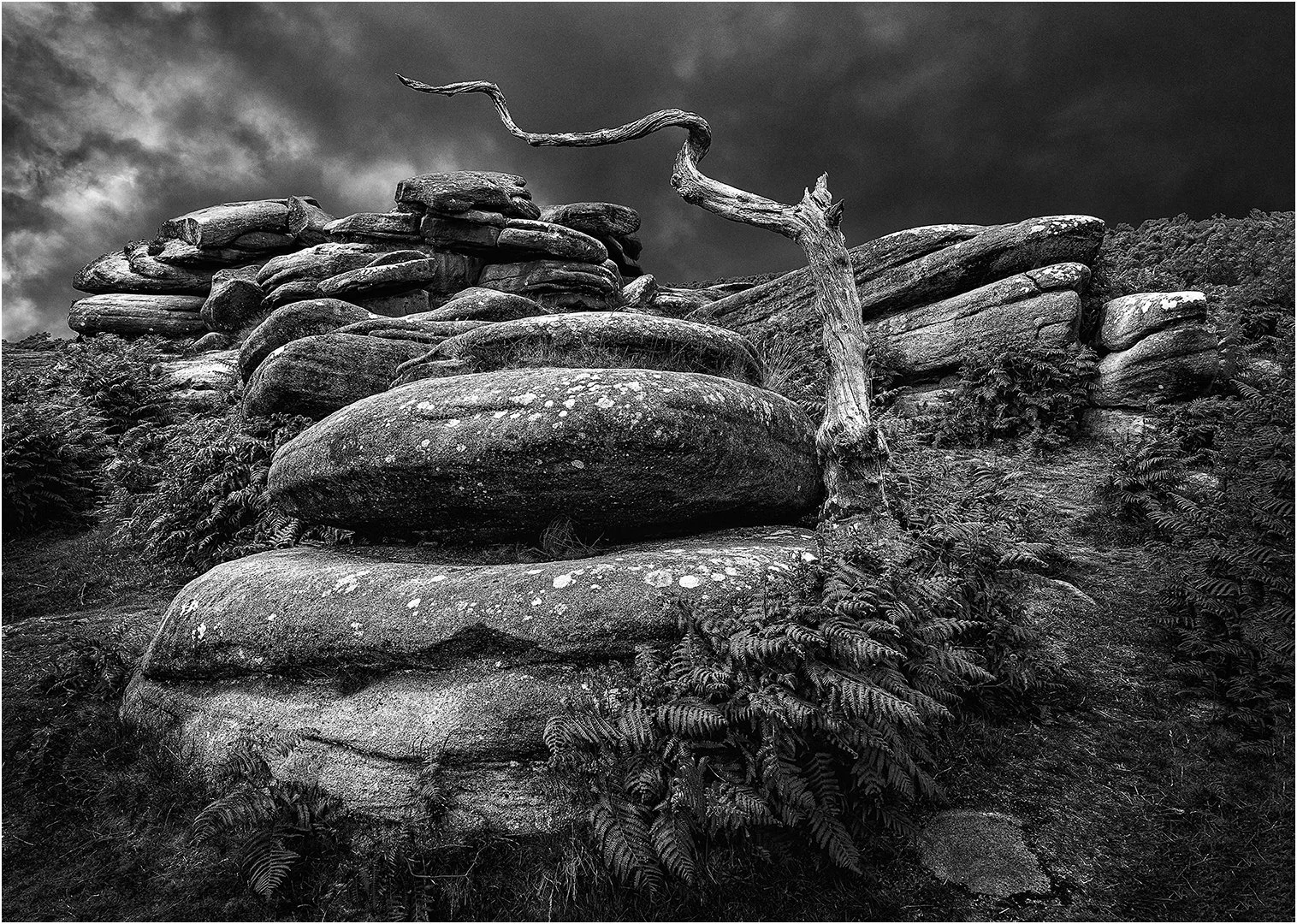 Winner Cuber Edge Steve Knight