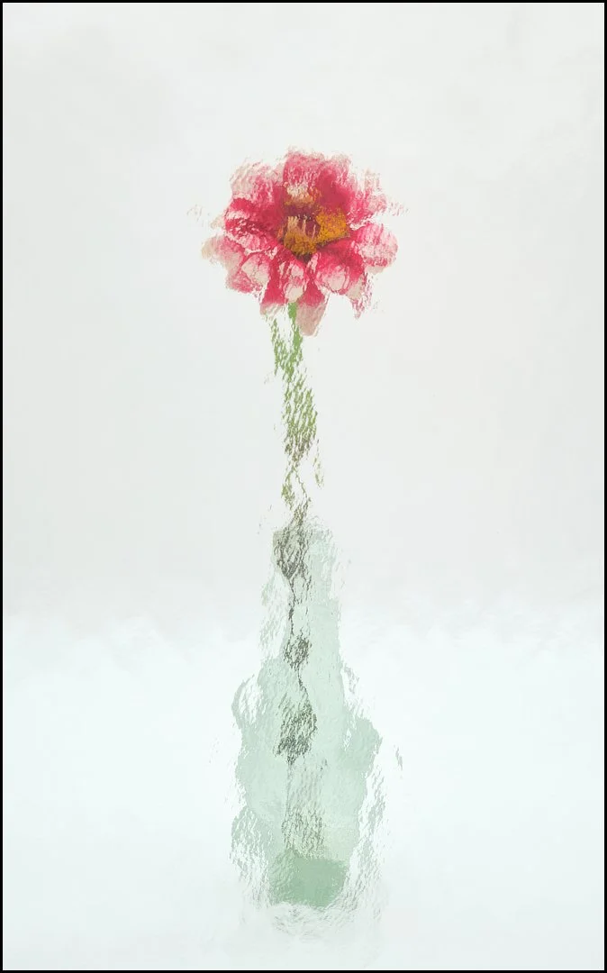 Sequence 4  Sue Evans ARPS/CPAGB/LSINWP/BPE1