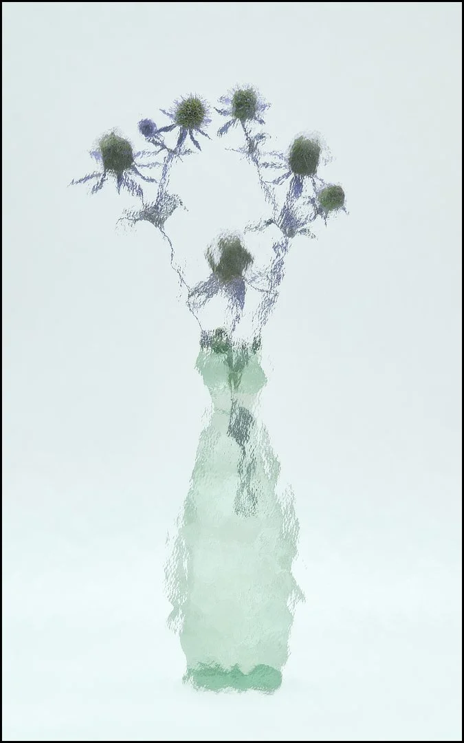 Sequence 3 Sue Evans ARPS/CPAGB/LSINWP/BPE!