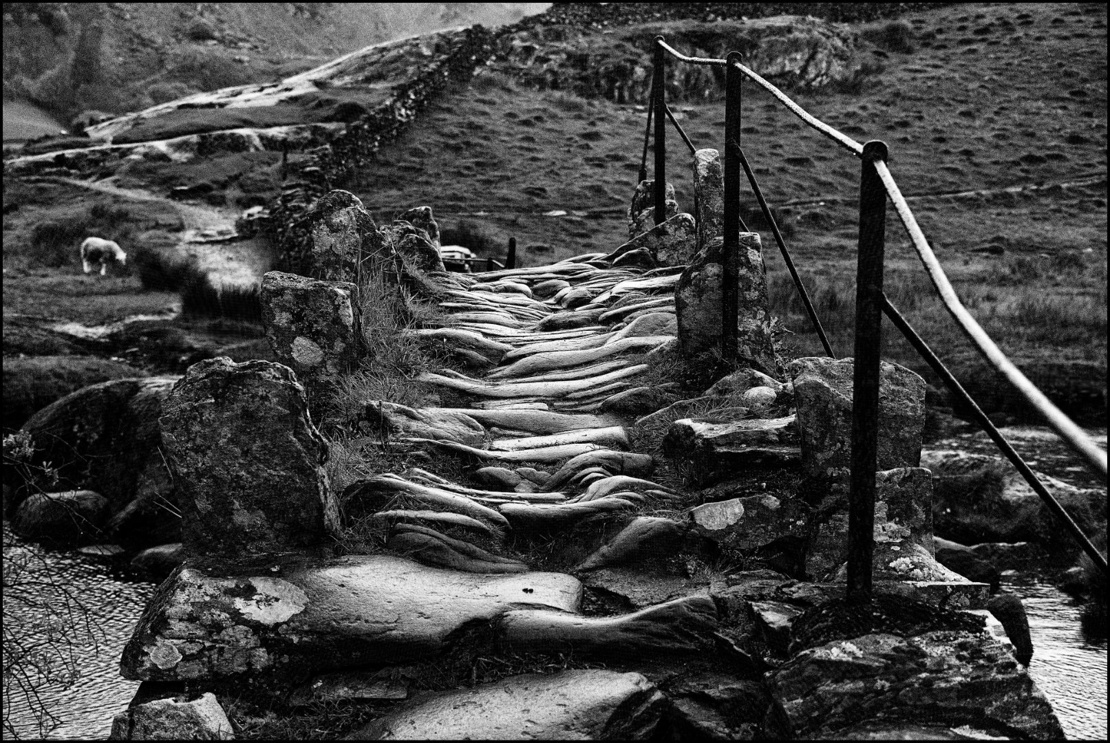 Runner Up Slaters Bridge Gillian Denny