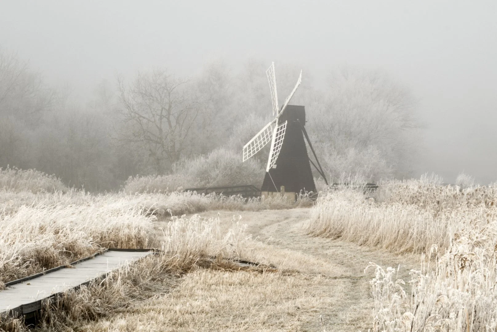 Wicken fen - Sue Evans