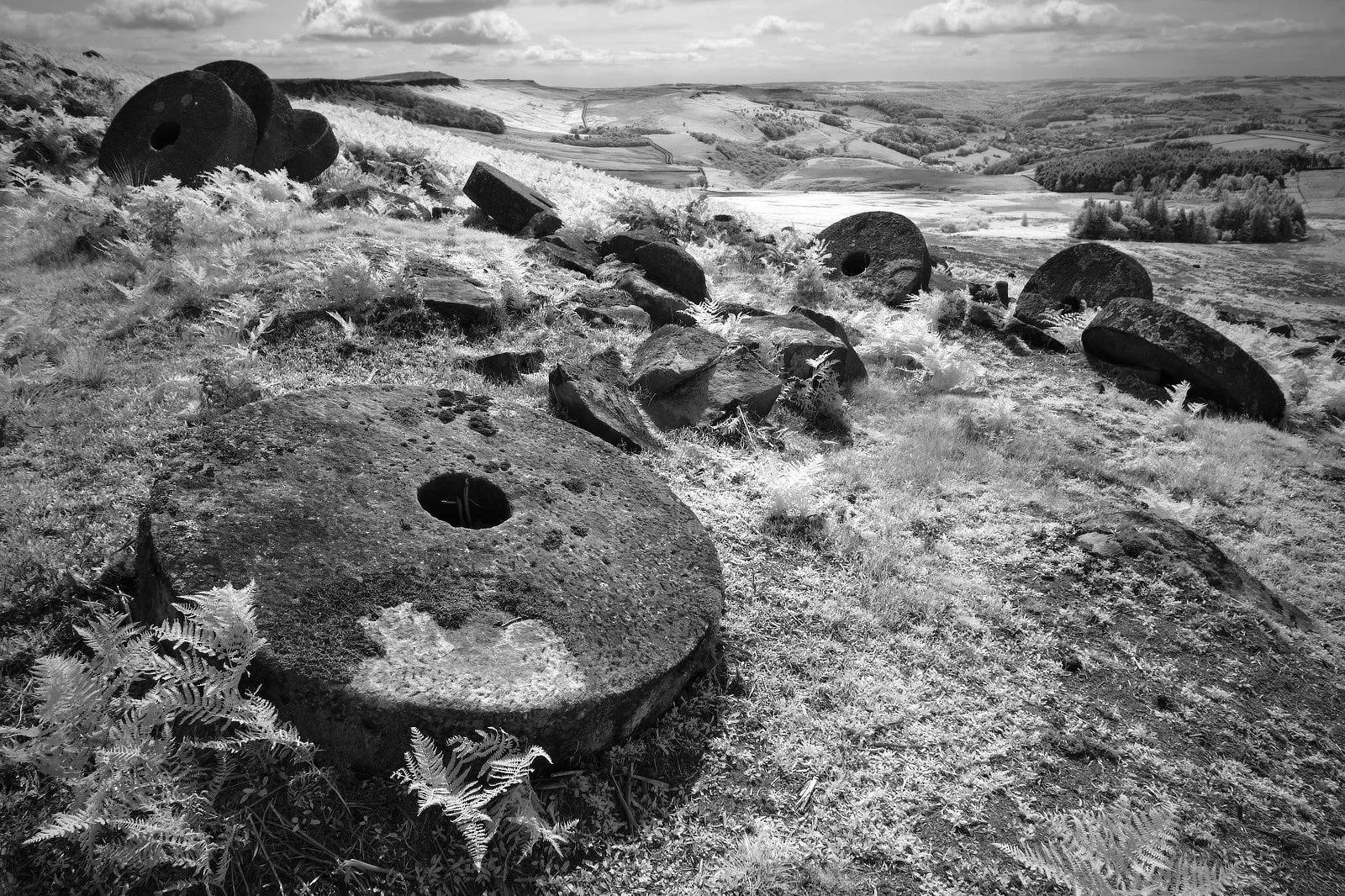 Winner Remnants Of A Bygone Era Sue Evans ARPS/CPAGB/LSINWP/BPE1