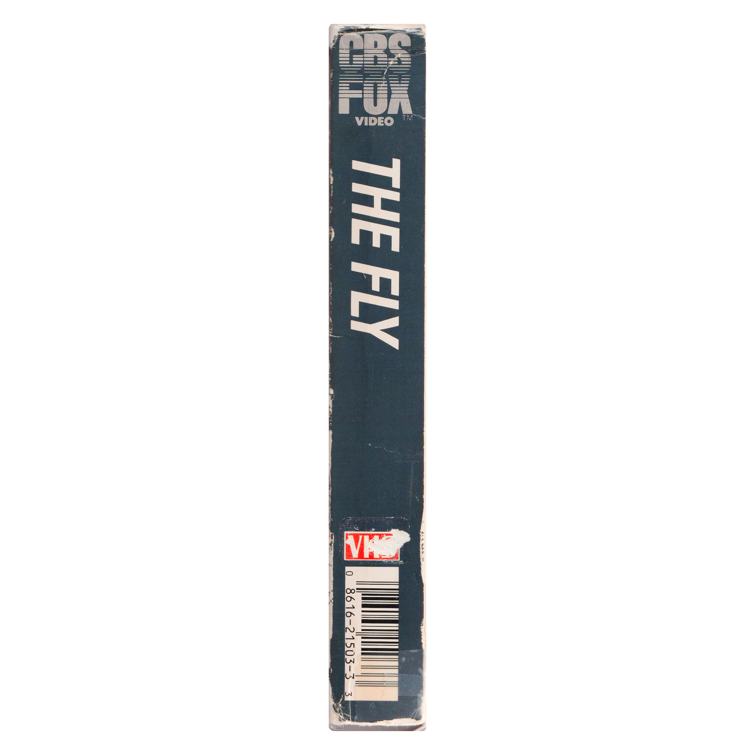 _0007_The-Fly-Side-3.png