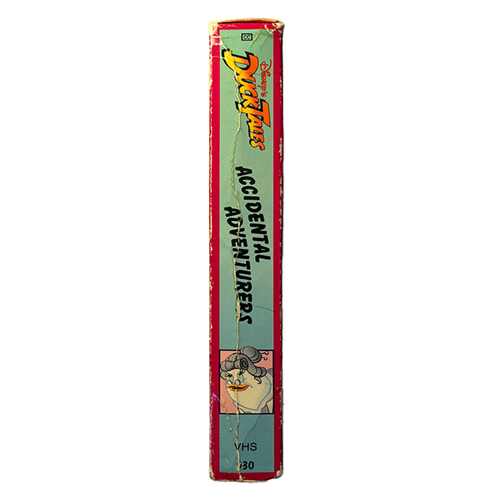 _0009_Duck-Tales-Side.HEIC.png