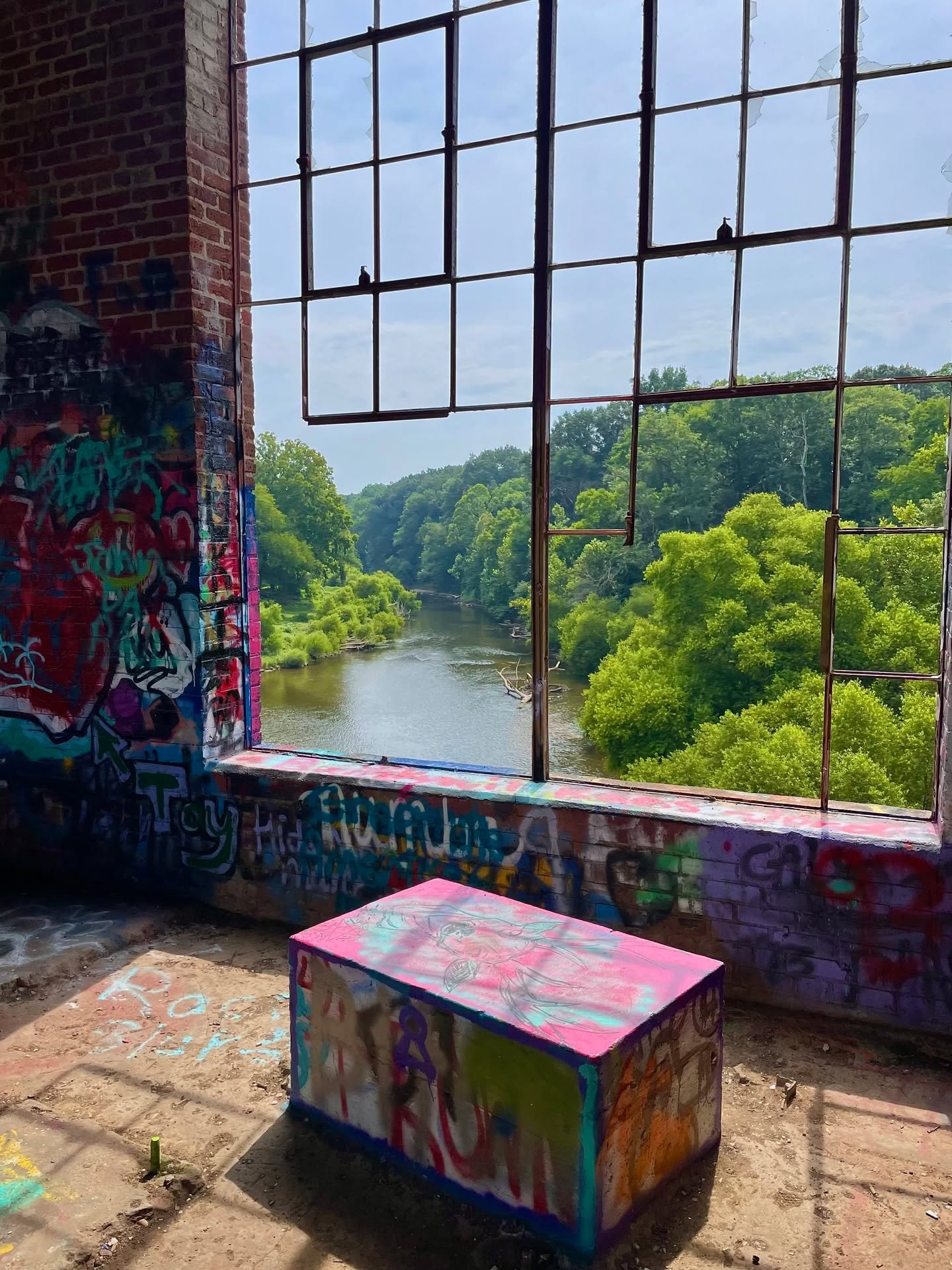 WINNER of Member's &amp; Judge's Choice, THE VIEW by Nick Koberstein. "One of the best parts about street art is getting out and going where people don&rsquo;t normally go because these places are abandoned and forgotten." -Judge #oakcitycl