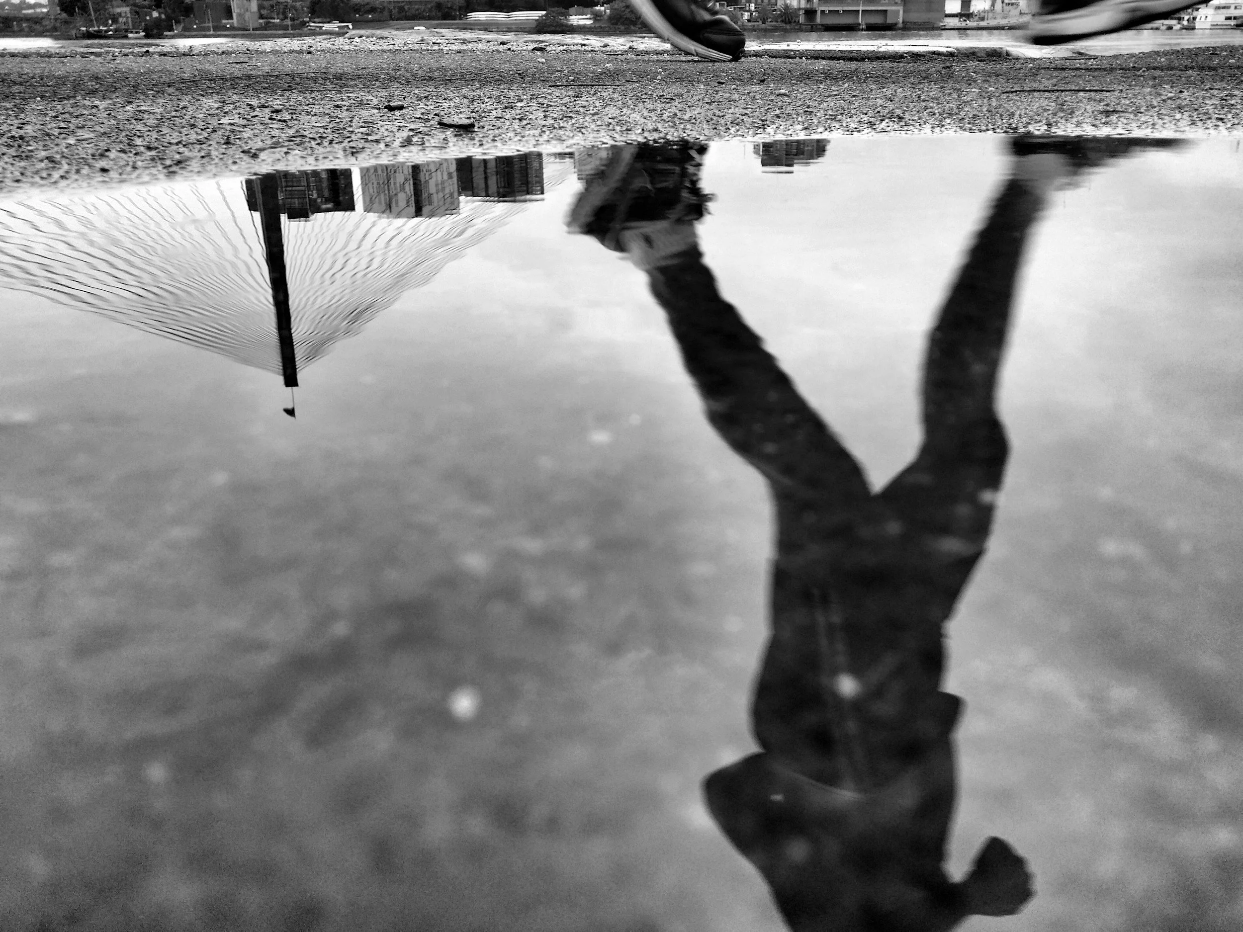 Reflections