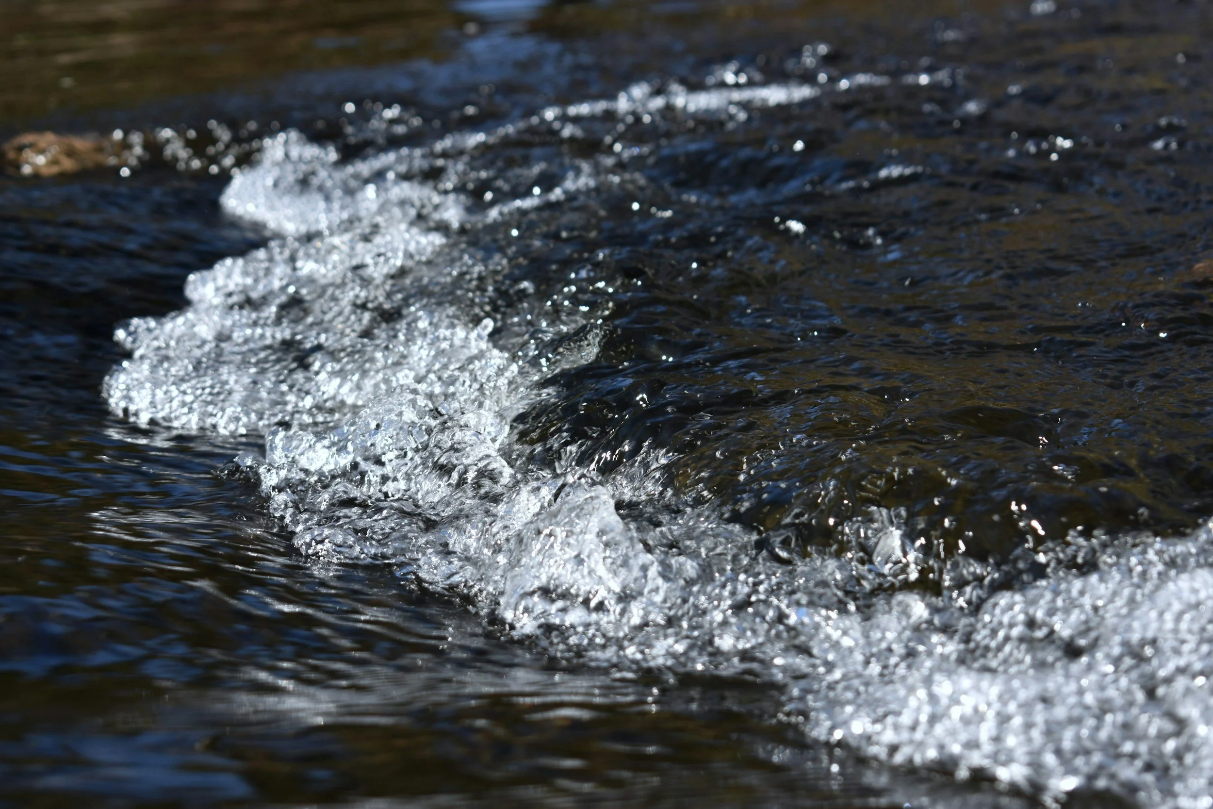 Freeze - Fast Shutter