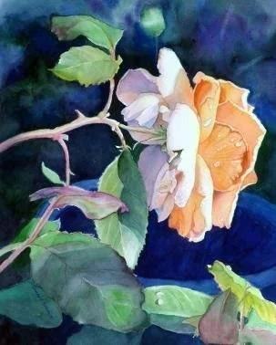 Floral Shadows Watercolor Series (4-Weeks) Thursdays, January 8-29, 2026 10AM–12PM