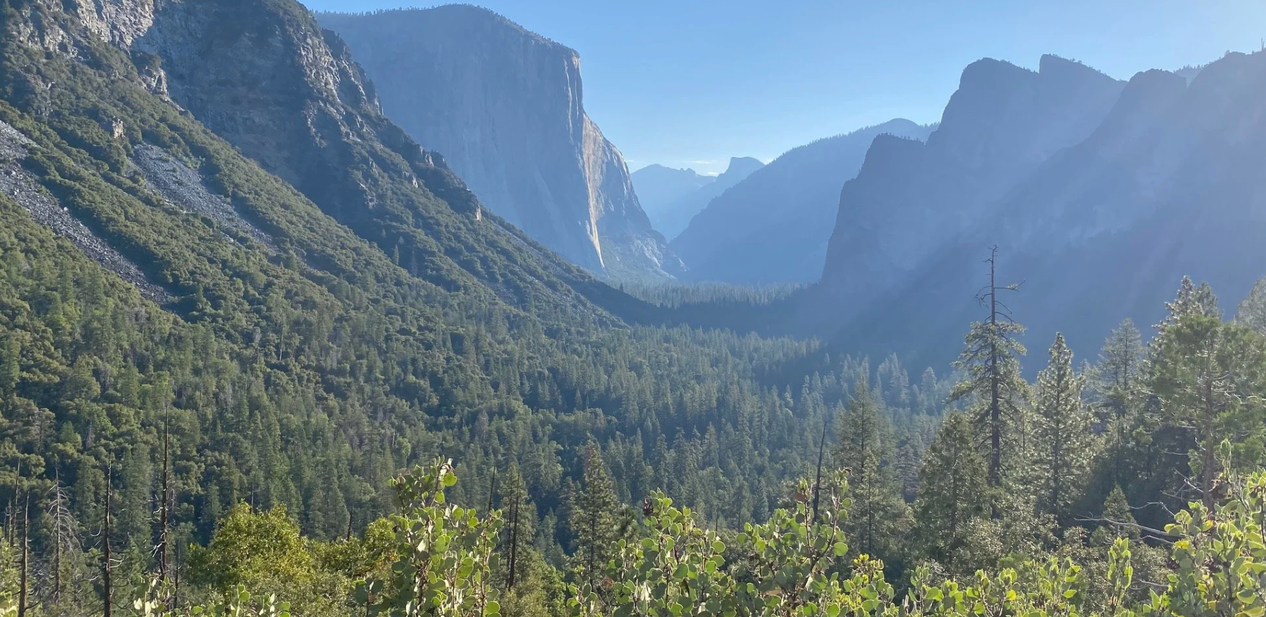 Yosemite-entrance-picture of mountains-with-trees-at-the-foothills