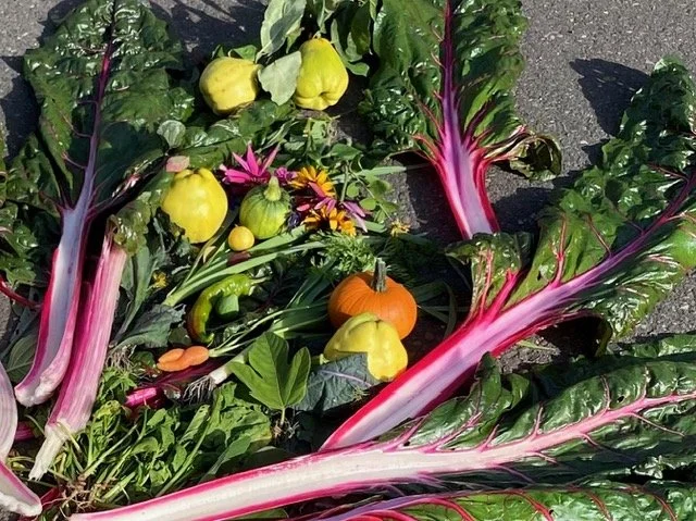 Picture is of a collection of colorful fresh vegetables, including Dark Green Leafy that are a part of the MIND diet.