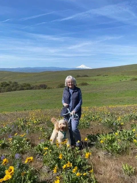 Person with dog standing in a wildflower meadow under a blue sky with rolling green hills in the background