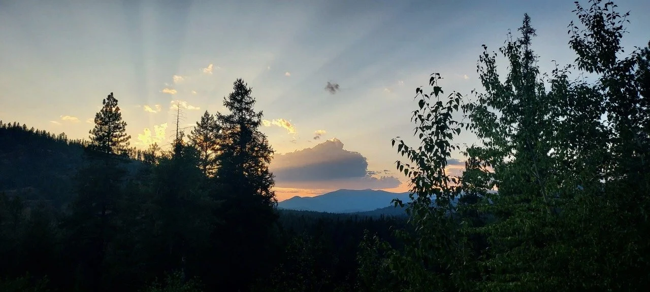 sunset-profile-trees-mountain-profile