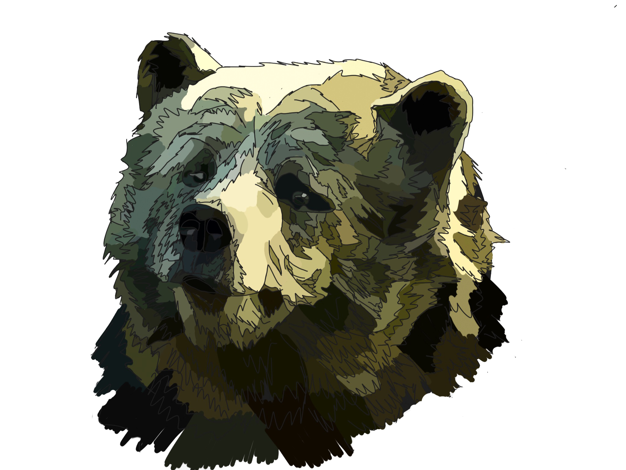 bear.png