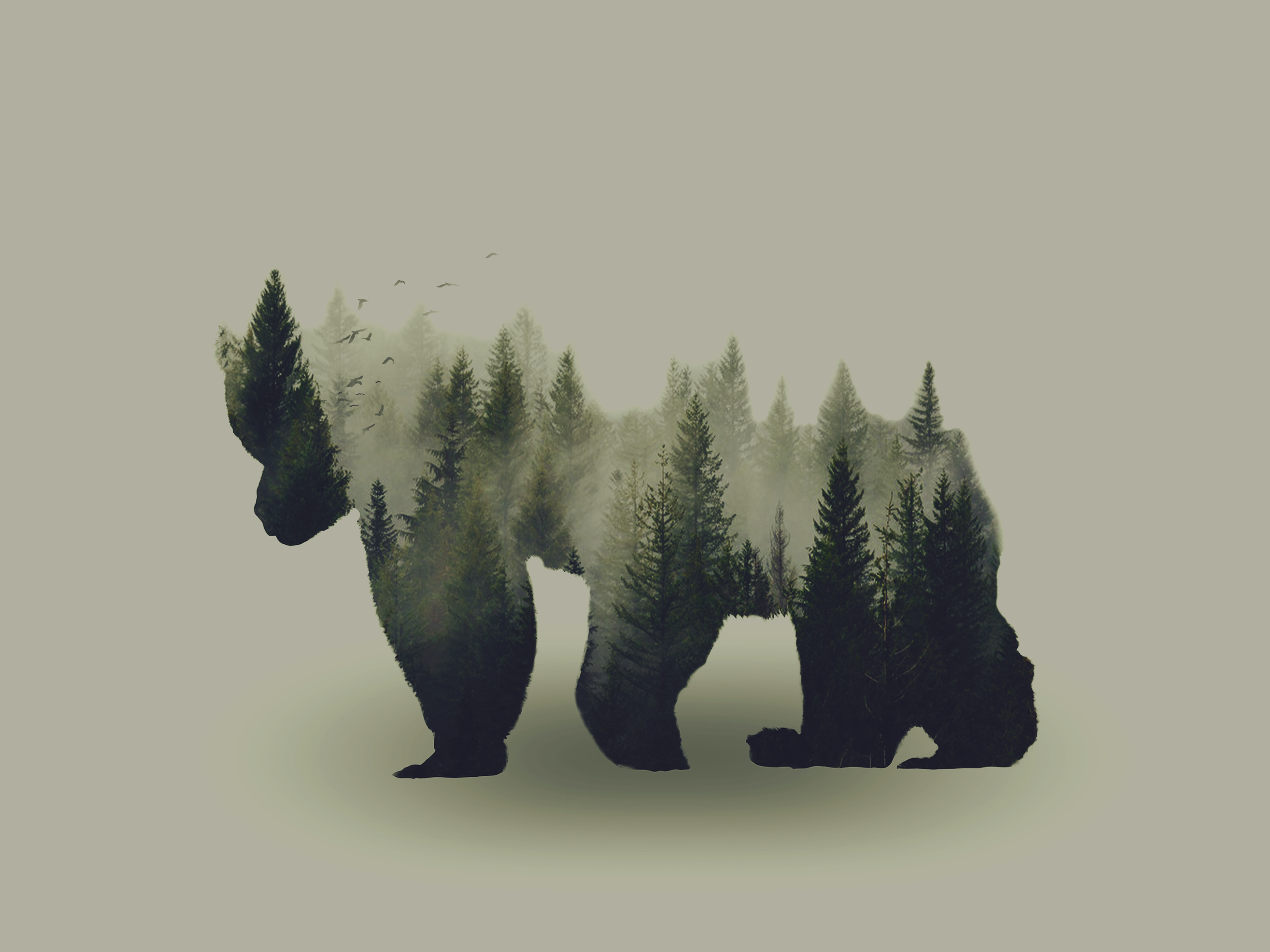 bear2 copy.png