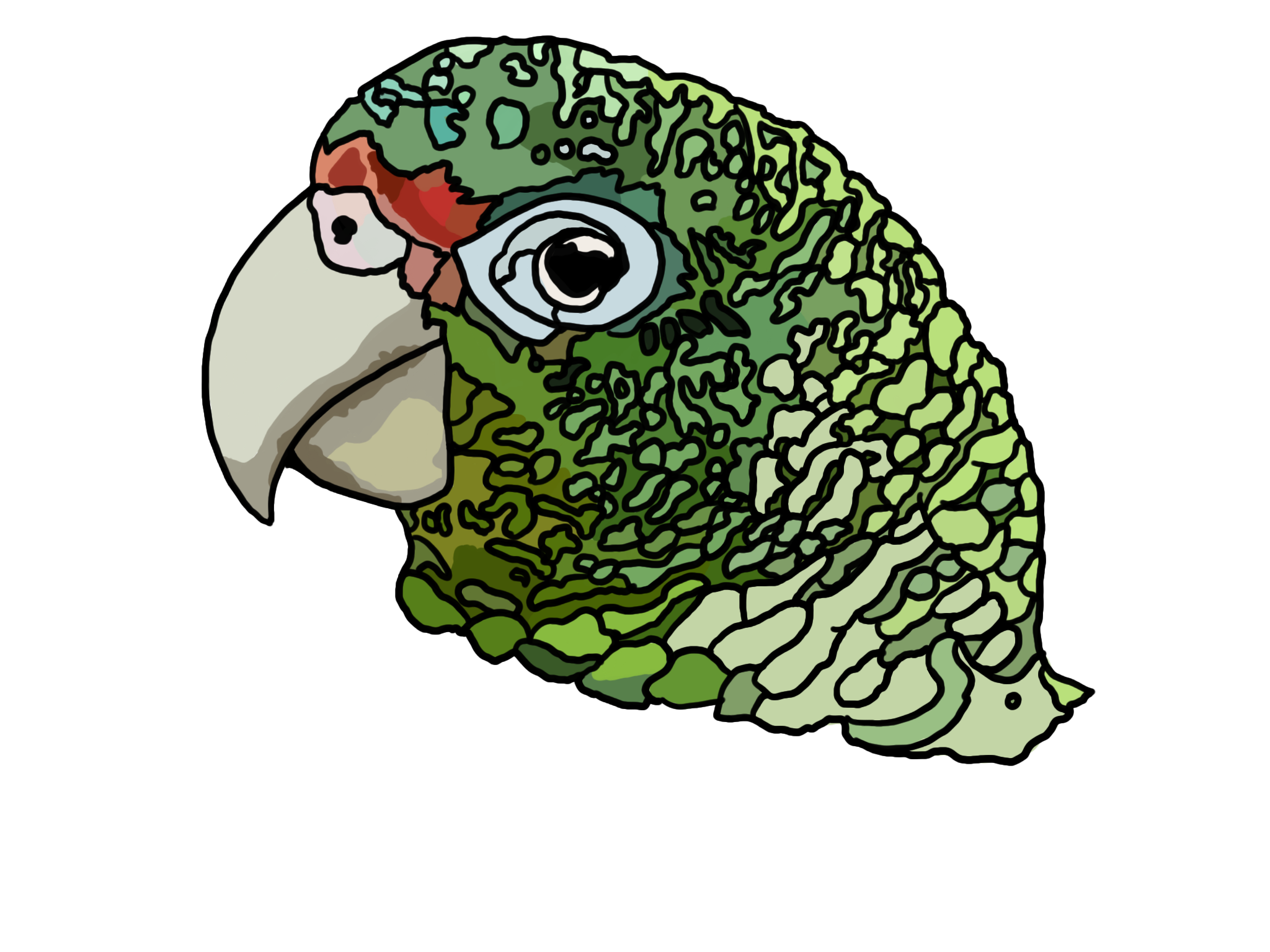 burd.png