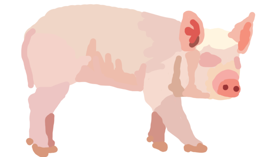 piggy.png