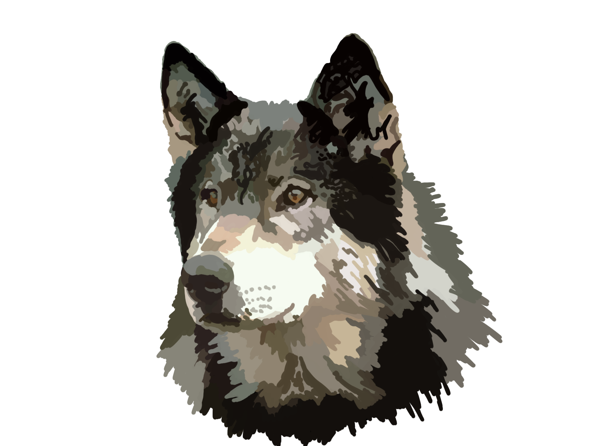 wolfie.png