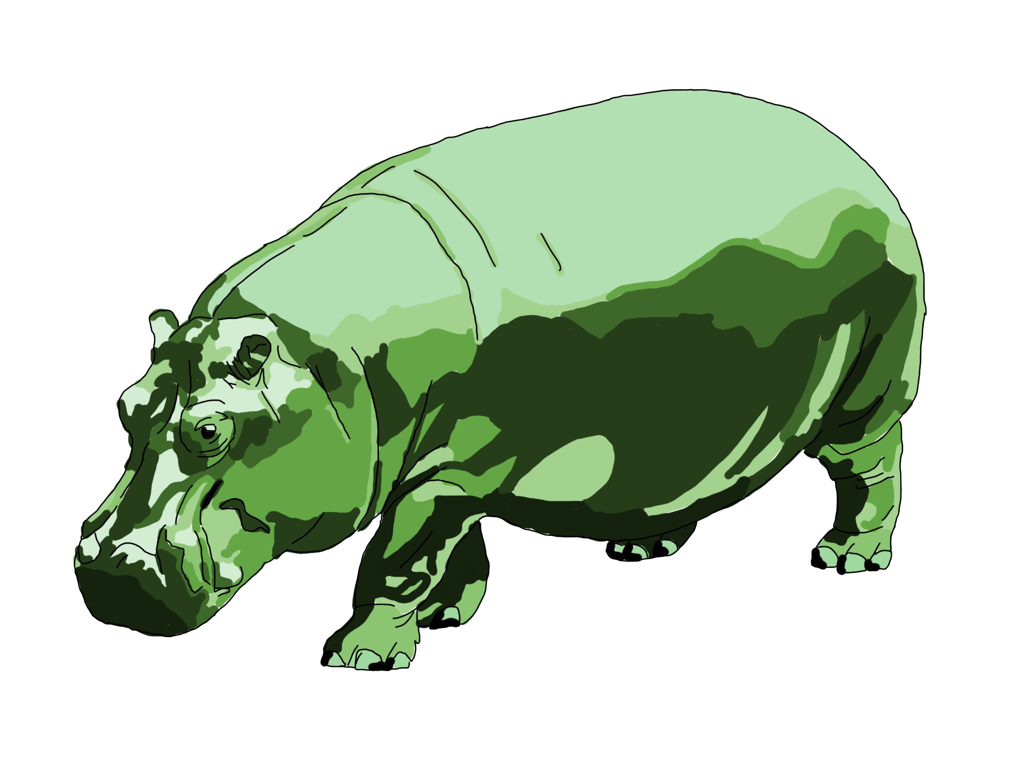 hippo.png