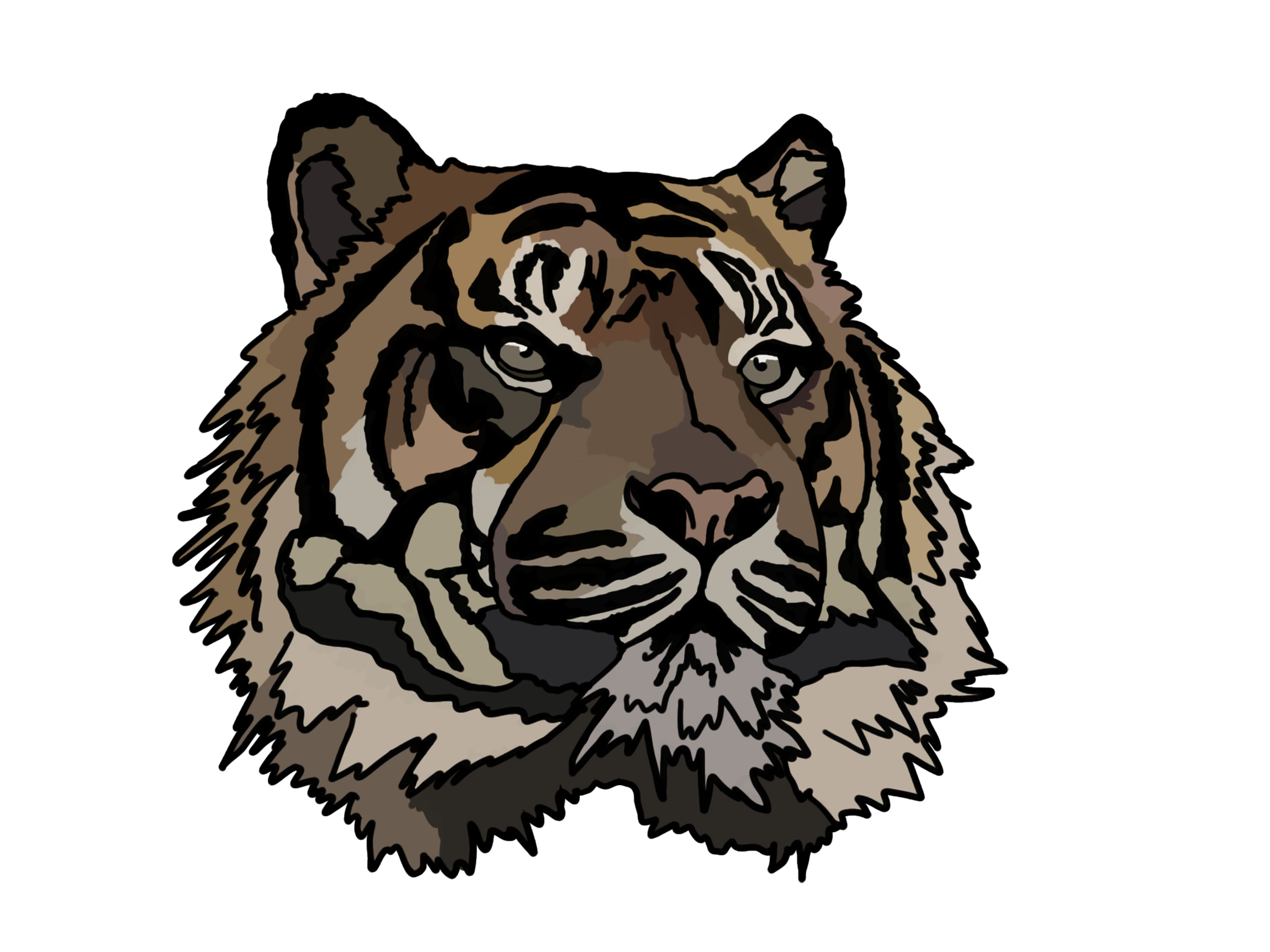 tiger.png