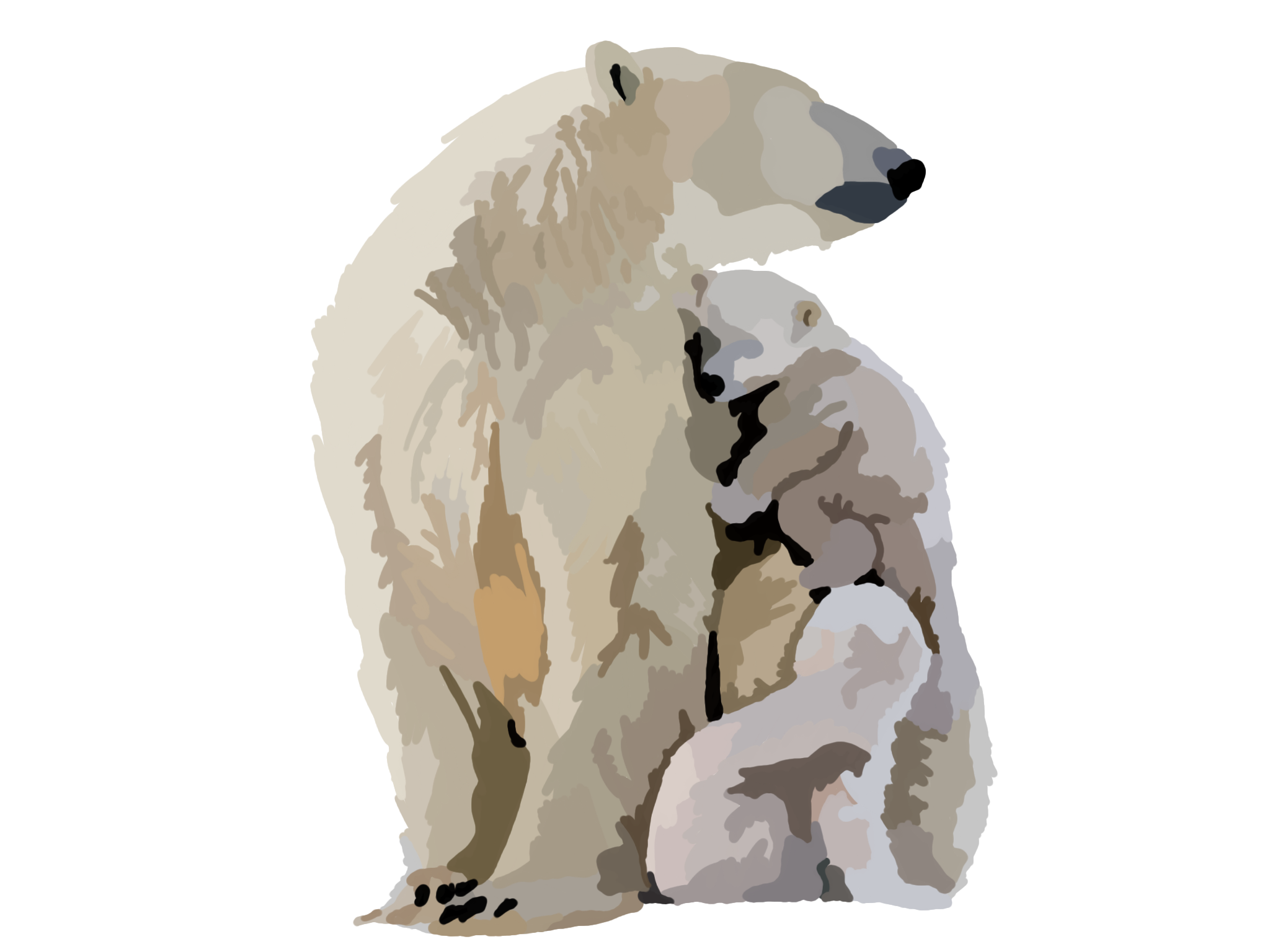 polar.png