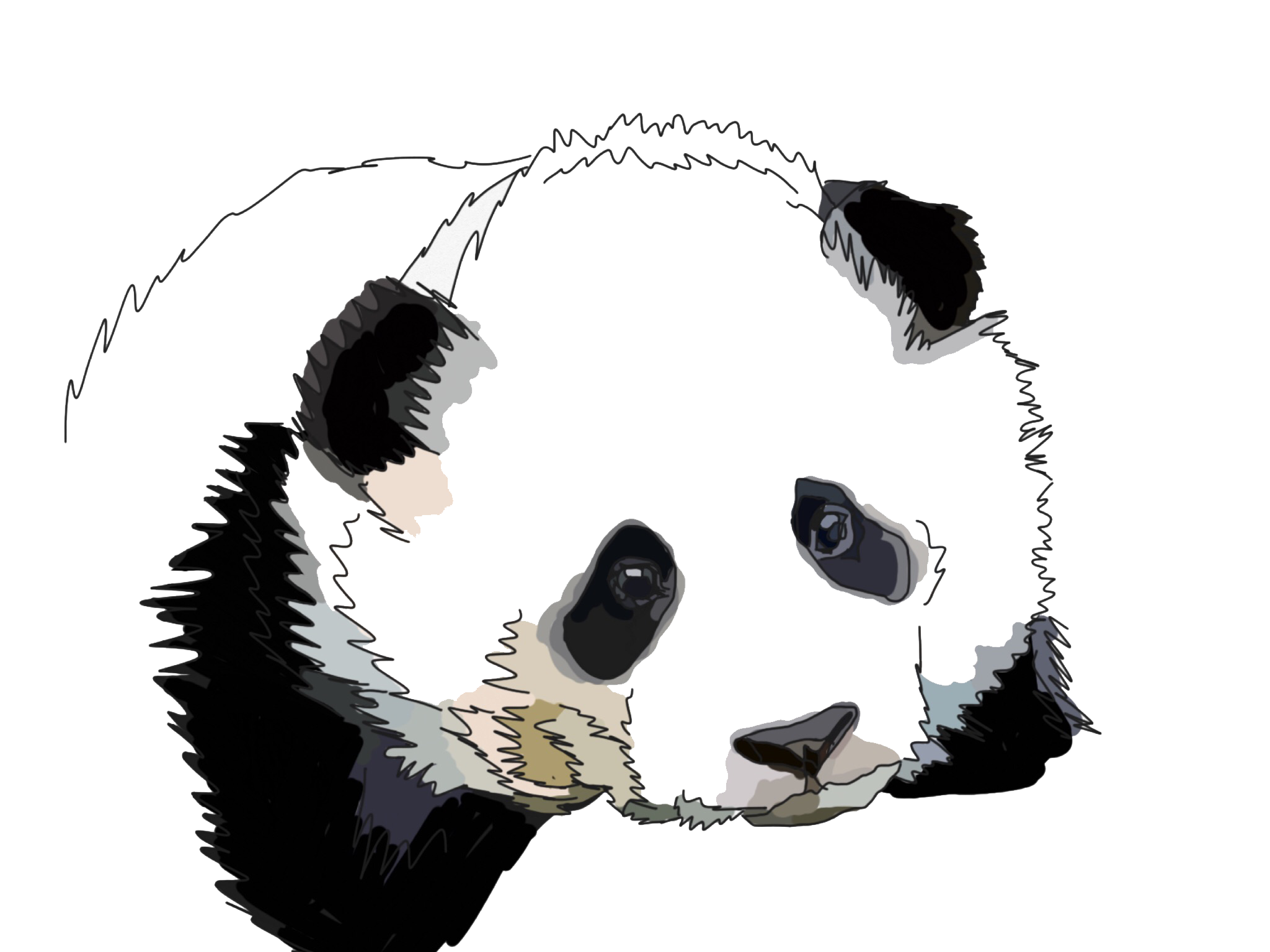 panda.png