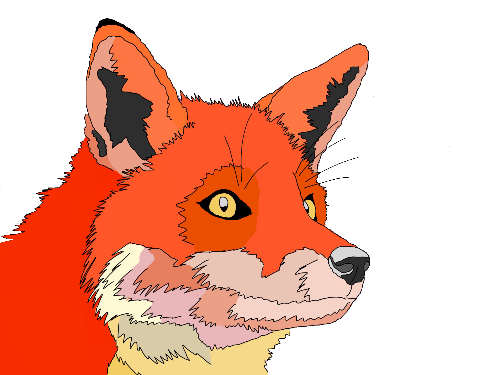 fox.png