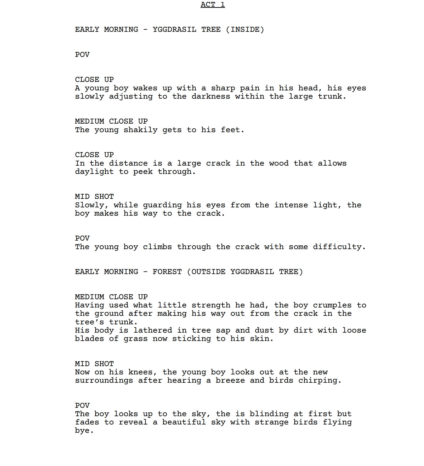A script or screenplay with scene descriptions and dialogue about a young boy waking up and exploring in the forest and tree, with vivid imagery of the sky, birds, and surroundings.