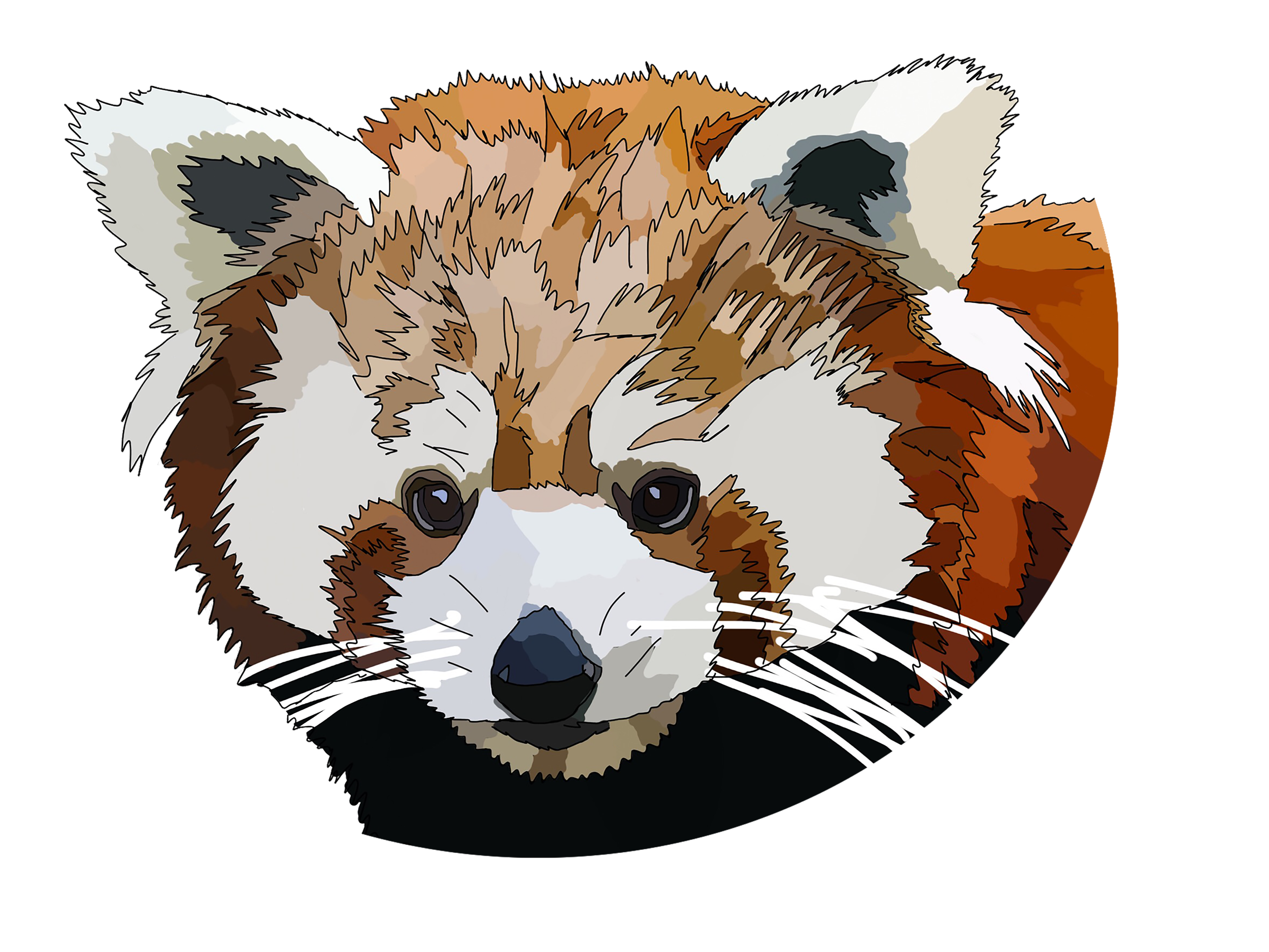 redpanda.png
